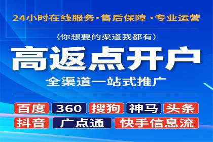 深度解析：SEM竞价优化提升ROI的案例